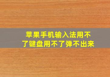 苹果手机输入法用不了键盘用不了弹不出来