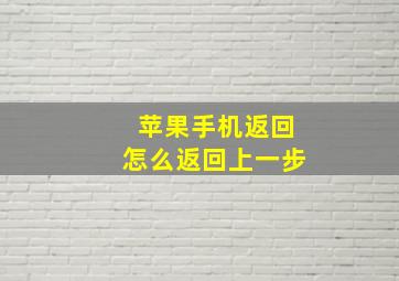 苹果手机返回怎么返回上一步