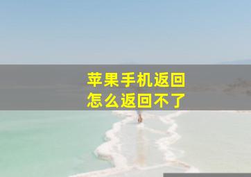 苹果手机返回怎么返回不了