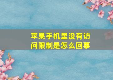 苹果手机里没有访问限制是怎么回事