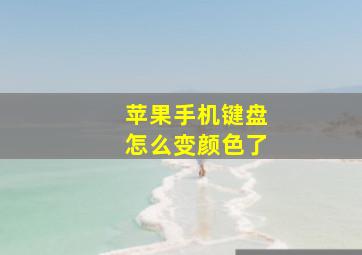 苹果手机键盘怎么变颜色了