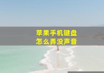 苹果手机键盘怎么弄没声音