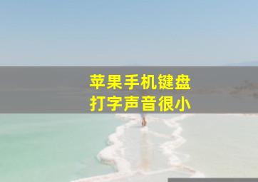 苹果手机键盘打字声音很小