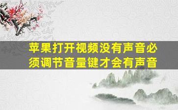 苹果打开视频没有声音必须调节音量键才会有声音