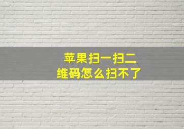 苹果扫一扫二维码怎么扫不了