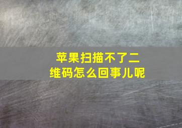 苹果扫描不了二维码怎么回事儿呢