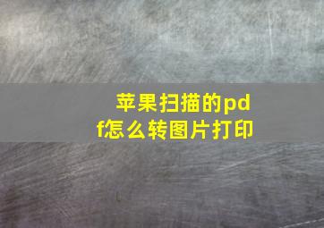 苹果扫描的pdf怎么转图片打印