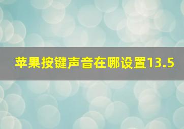 苹果按键声音在哪设置13.5