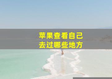 苹果查看自己去过哪些地方