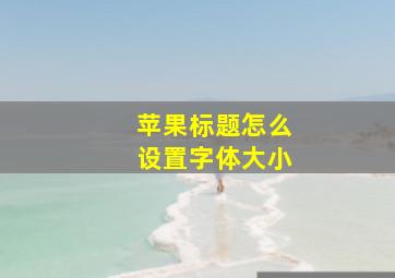 苹果标题怎么设置字体大小