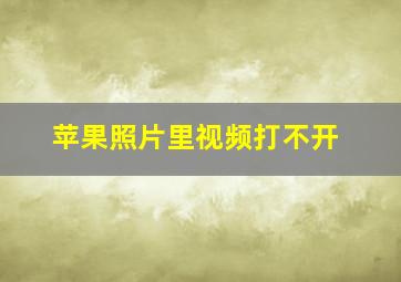 苹果照片里视频打不开