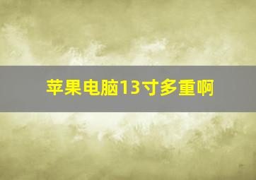 苹果电脑13寸多重啊