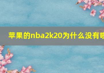 苹果的nba2k20为什么没有啦