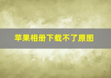 苹果相册下载不了原图