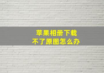 苹果相册下载不了原图怎么办