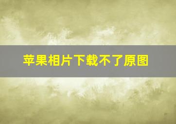 苹果相片下载不了原图