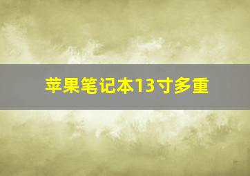 苹果笔记本13寸多重