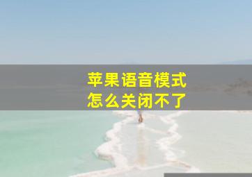 苹果语音模式怎么关闭不了