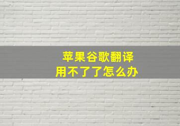 苹果谷歌翻译用不了了怎么办