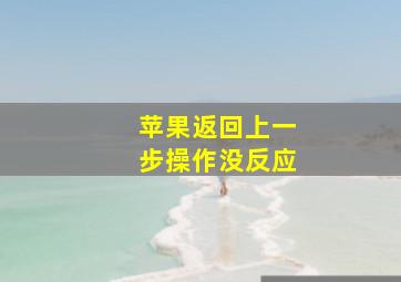 苹果返回上一步操作没反应