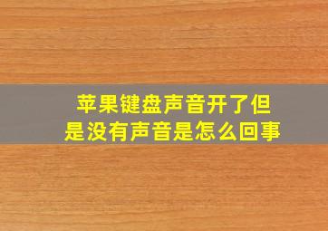 苹果键盘声音开了但是没有声音是怎么回事