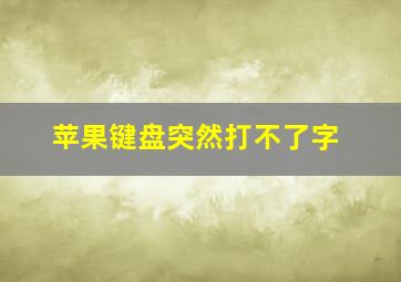 苹果键盘突然打不了字