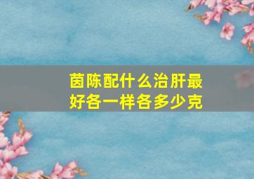 茵陈配什么治肝最好各一样各多少克