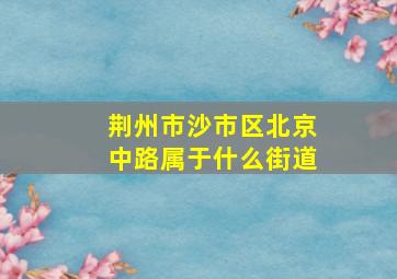 荆州市沙市区北京中路属于什么街道