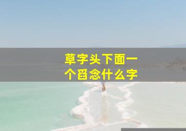 草字头下面一个舀念什么字