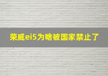 荣威ei5为啥被国家禁止了