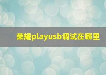 荣耀playusb调试在哪里