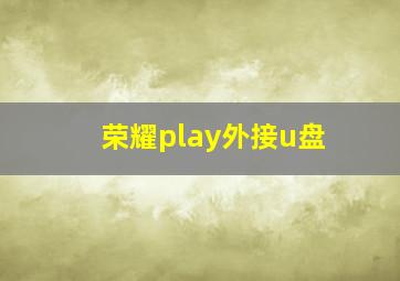 荣耀play外接u盘