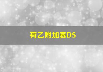 荷乙附加赛DS