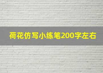 荷花仿写小练笔200字左右