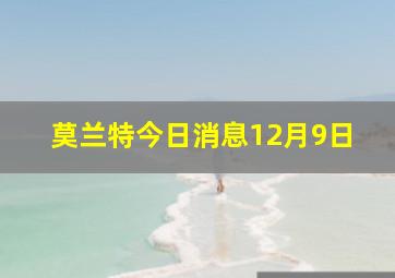 莫兰特今日消息12月9日