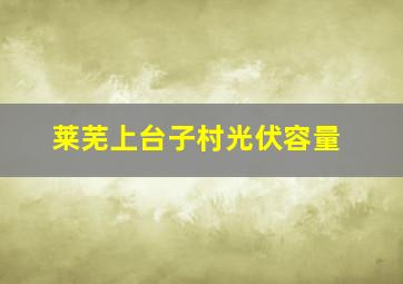 莱芜上台子村光伏容量