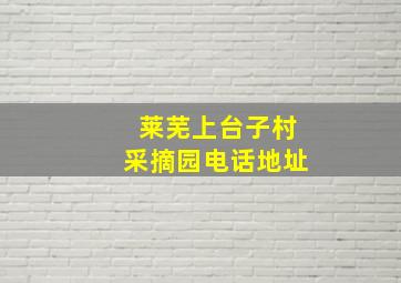 莱芜上台子村采摘园电话地址