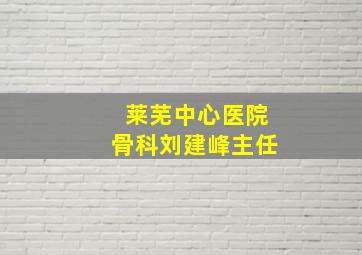 莱芜中心医院骨科刘建峰主任