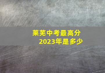 莱芜中考最高分2023年是多少