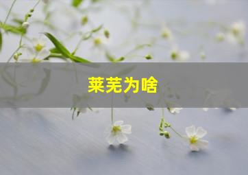 莱芜为啥