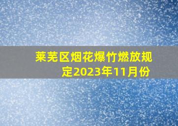 莱芜区烟花爆竹燃放规定2023年11月份