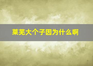 莱芜大个子因为什么啊