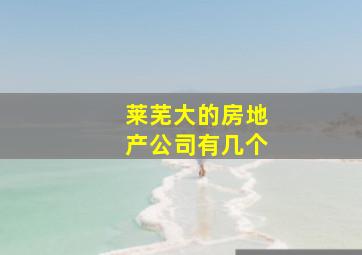 莱芜大的房地产公司有几个