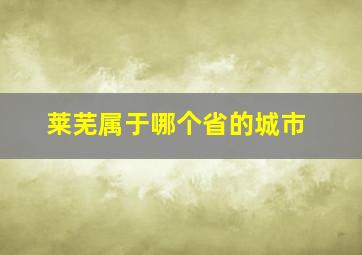 莱芜属于哪个省的城市