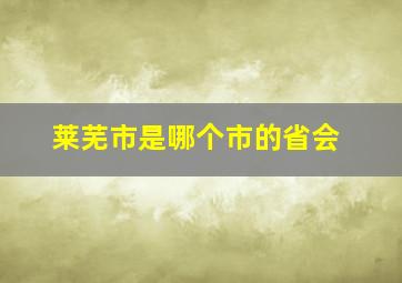 莱芜市是哪个市的省会