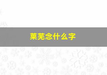 莱芜念什么字