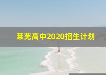 莱芜高中2020招生计划