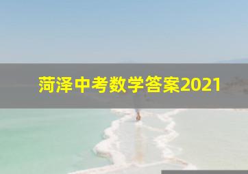 菏泽中考数学答案2021