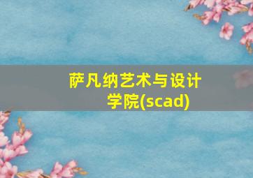 萨凡纳艺术与设计学院(scad)