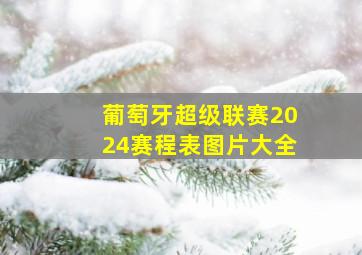 葡萄牙超级联赛2024赛程表图片大全